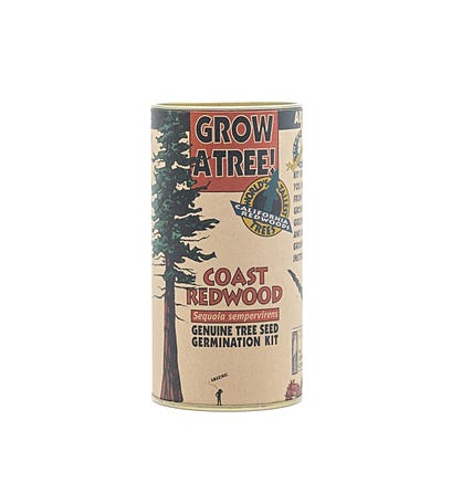 Redwood Seed Grow Kit